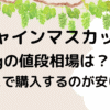 シャインマスカット1kgの値段相場は？どこで買うのが安い？直売所？のタイトル