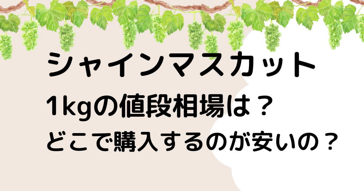 シャインマスカット1kgの値段相場は？どこで買うのが安い？直売所？のタイトル